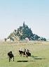 Cheval Plaisir